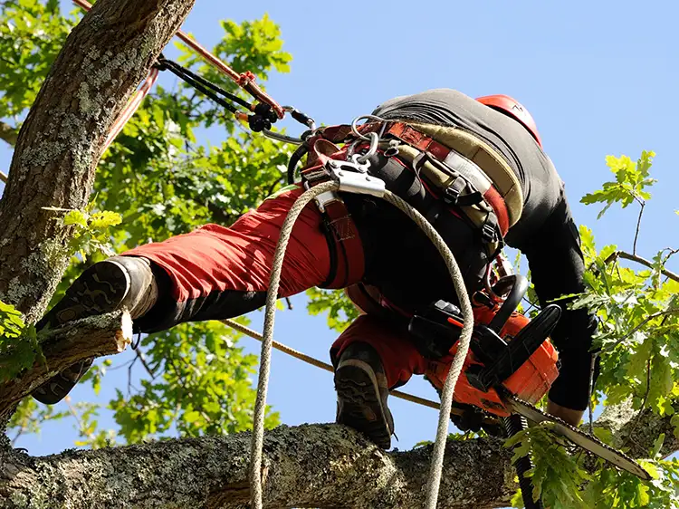 Avoda Grounds Services - About Avoda - Safety is our Priority