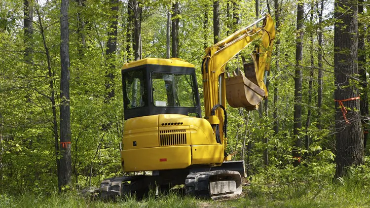 Avoda Grounds Services - Tree Planting - Screening & Privacy Tree Planting