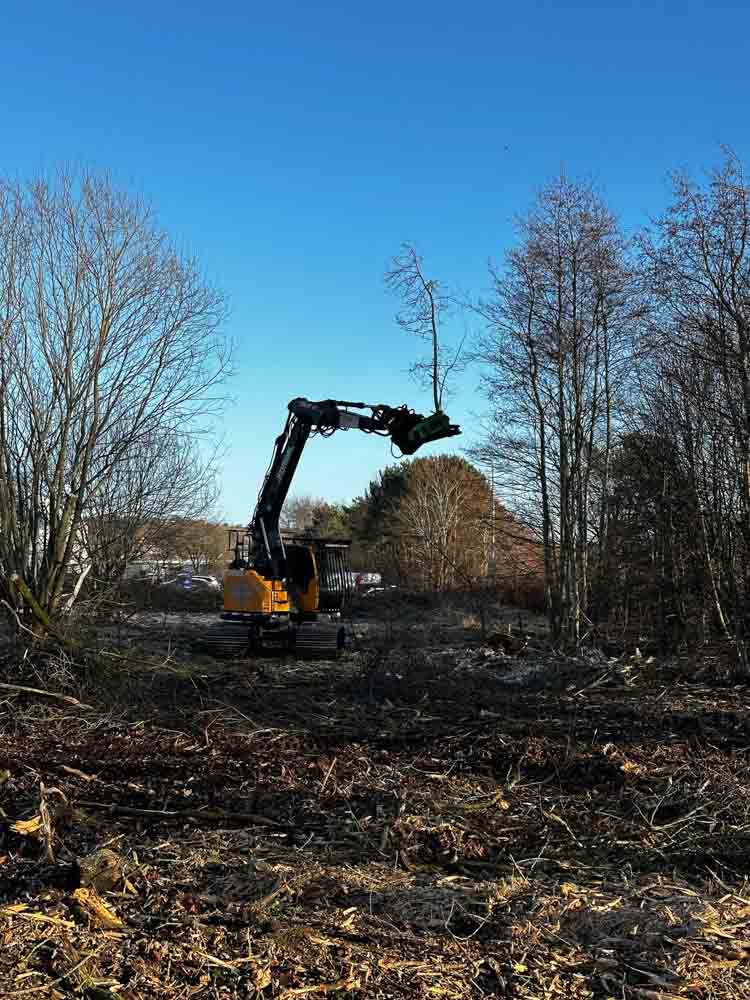 Commercial Site Clearance Project - Avoda Grounds Services